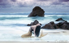 魅医倾城逆天宝宝腹黑爹